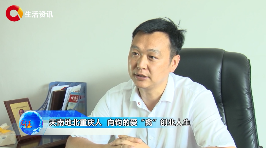 《见证》天南地北重庆人 向钧的爱“禽”人生