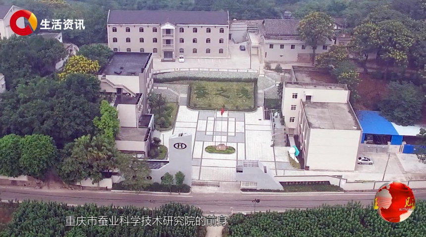 八十载筑梦蚕桑
