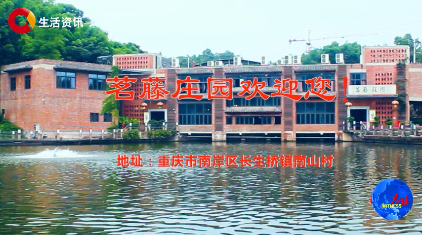 《见证》茗藤庄园：荟萃庄园风情 典藏人间胜景