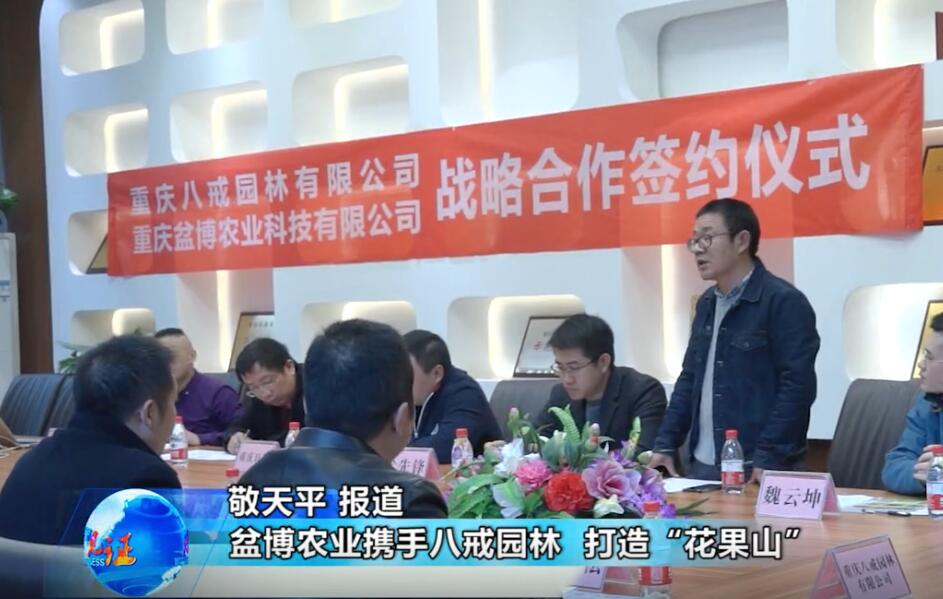 盆博农业携手八戒园林 打造家居阳台花果山 