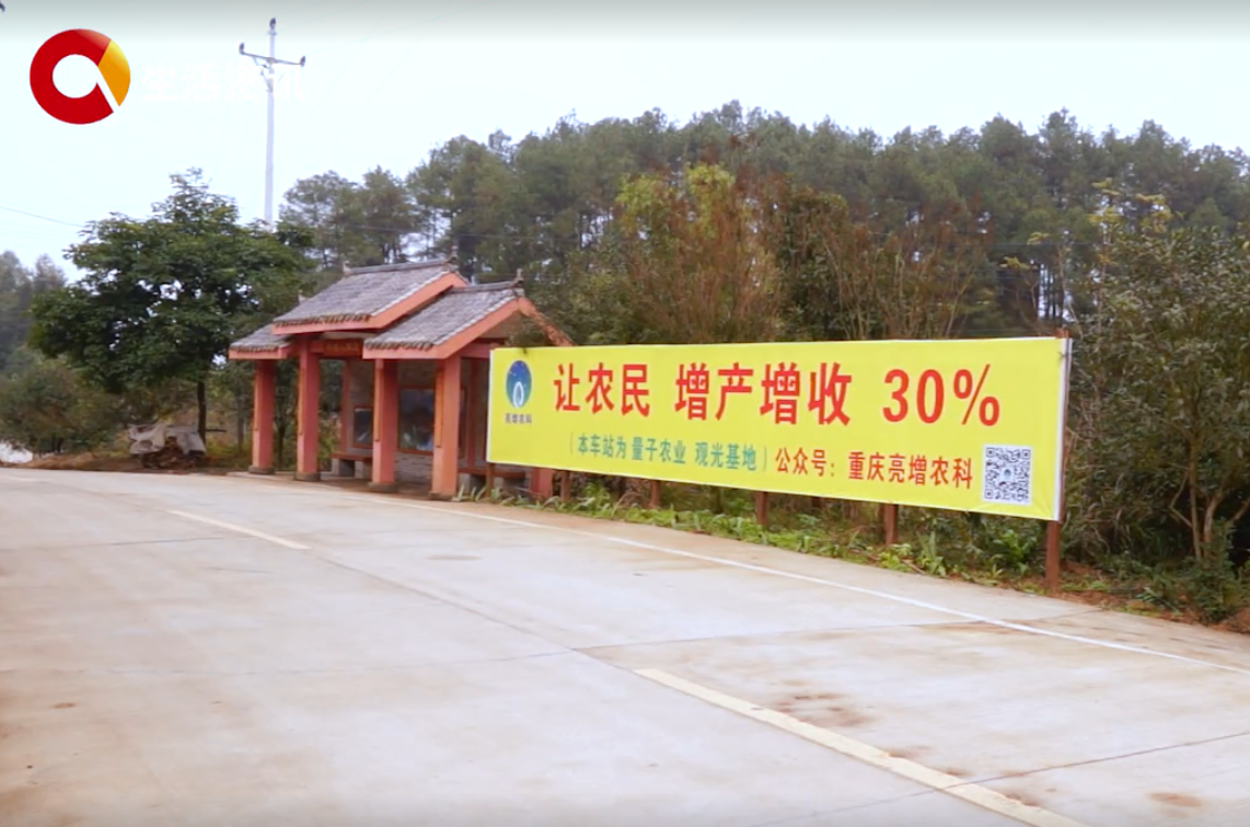 《见证》亮增农科全国启动大会在巴南区举行