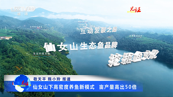 【见证·视频】仙女山下高密度生态养鱼新模式  亩产量高出50倍
